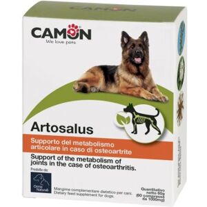 Camon Artosalus Compresse