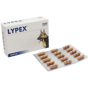 Vet Plus Lypex 60 Capsule