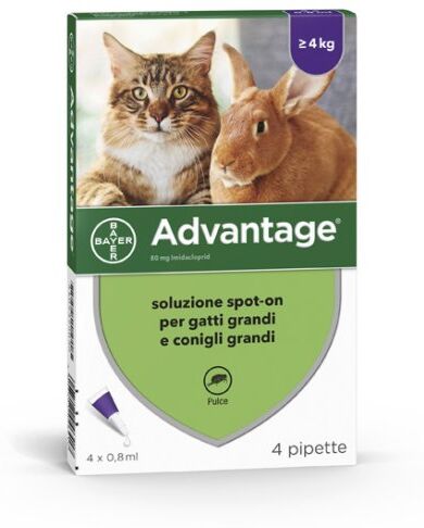 advantix advantage spot on gatti/conigli 4x80 mg   4 x 0,8ml