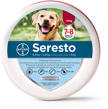 seresto 70 cm collare per cani > 8kg