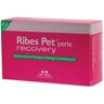 Nbf Lanes Ribes Pet Recovery Blister 60 Perle