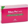 Ribes Pet 30 Perle