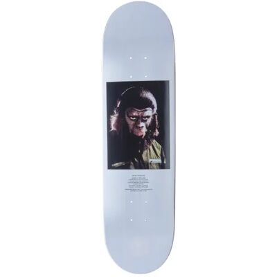 Tavola Skateboard Element Pota (8.25" - Wasteland) taglia 8.25" Tavola Skateboard Element Pota (8.25" - Wasteland) taglia 8.25"