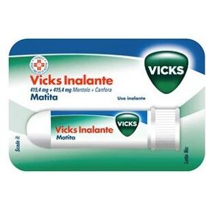 PROCTER & GAMBLE SRL VICKS INALANTE*RIN FL 1G