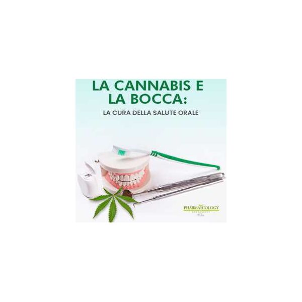 la cannabis e la bocca: la cura della salute orale