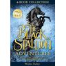 The Black Stallion Adventures