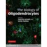 The Biology of Oligodendrocytes