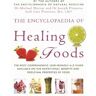 Michael Murray;Joseph E. Pizzorno;Lara U. Pizzorno The Encyclopaedia Of Healing Foods