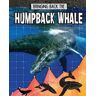 Paula Smith Humpback Whale: Bringing Back The