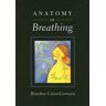 Anatomy of Breathing