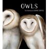 Jeannine Chappell Owls: The Paintings of