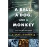 A Ball, a Dog, and a Monkey