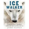 Ice Walker