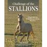 Challenge of the Stallions