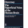 The Superficial Veins of the Human Brain