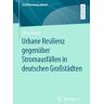 Urbane Resilienz gegenüber Stromausfällen in deutschen Großstädten