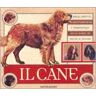 Il cane