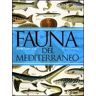 Giovanni Nikiforos Fauna del Mediterraneo. Ediz. illustrata