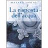 Masaru Emoto La risposta dell'acqua