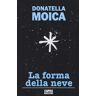 Donatella Moica La forma della neve