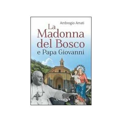 Ambrogio Amati La Madonna del bosco e papa Giovanni Ambrogio Amati La Madonna del bosco e papa Giovanni