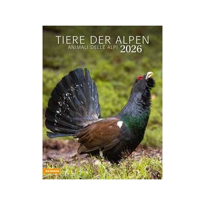 Tiere der Alpen. Animali delle Alpi. Calendario grande 2026 Tiere der Alpen. Animali delle Alpi. Calendario grande 2026