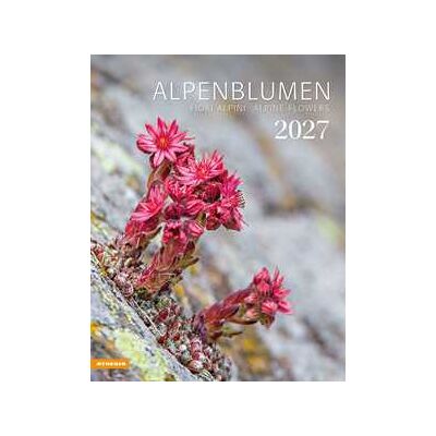 Fiori alpini. Calendario 2027 Fiori alpini. Calendario 2027