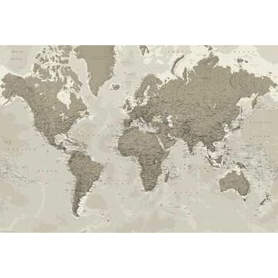 Il Mondo. Planisfero design Il Mondo. Planisfero design