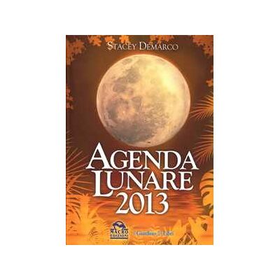 Stacey Demarco Agenda lunare 2013 Stacey Demarco Agenda lunare 2013