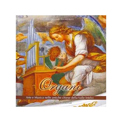 Rita Pellegrini;Ismaele Gatti Organi arte e musica nelle antiche chiese della valle Intelvi. Con CD Audio Rita Pellegrini;Ismaele Gatti Organi arte e musica nelle antiche chiese della valle Intelvi. Con CD Audio