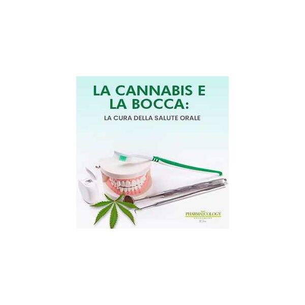 la cannabis e la bocca: la cura della salute orale