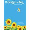 A Smidgen of Sky