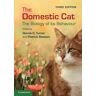 The Domestic Cat