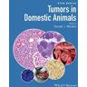 Tumors in Domestic Animals