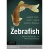 The Zebrafish