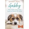 Barby Keel Gabby: The Little Dog that had to Learn to Bark