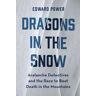 Dragons in the Snow