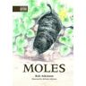 Rob Atkinson Moles