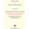 Antonio Becchi Naufragi di terra e di mare. Da Leonardo da Vinci a Theodor Mommsen alla ricerca dei codici Albani