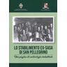 Lo stabilimento ex-Sasa di San Pellegrino. Una pagina di archeologia industriale