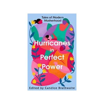 Various Hurricanes in Perfect Power: Tales of Modern Motherhood Various Hurricanes in Perfect Power: Tales of Modern Motherhood