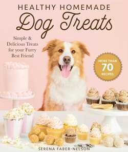 Healthy Homemade Dog Treats