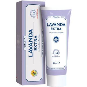 Magentina Lavanda Pomata Antimicrobica Erboristeria 100 ml