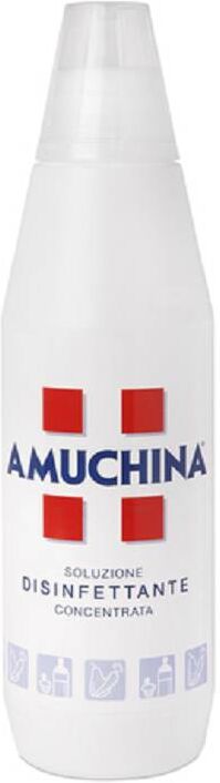 Angelini (A.C.R.A.F.) SPA Amuchina 100% Soluzione Disinfettante Ipoclorito di Sodio 1000 ml