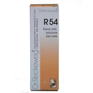 Dr. Reckeweg R54 Reckeweg Gocce 22 ml