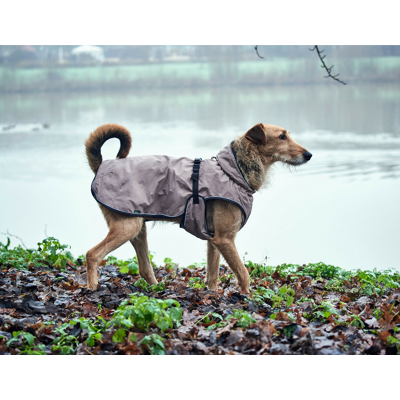 Hunter - UPPSALA - taupe - 75 cm - Cappotto per cani Hunter - UPPSALA - taupe - 75 cm - Cappotto per cani