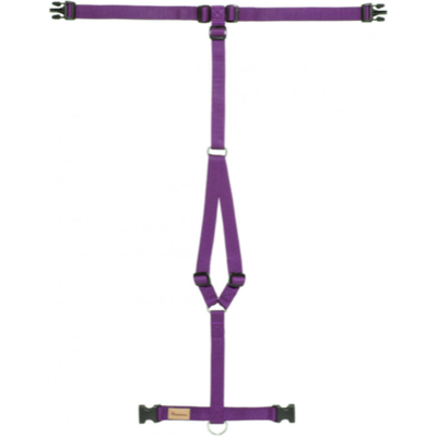 Haqihana Pettorina ad H Viola in Nylon per Cani XS Haqihana Pettorina ad H Viola in Nylon per Cani XS