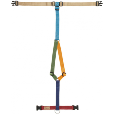 Haqihana Pettorina ad H Multicolor in Nylon per Cani S Haqihana Pettorina ad H Multicolor in Nylon per Cani S