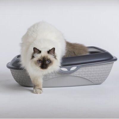 Bama Pet SABBIA Lettiera per Gatti - 59,5x40,3x17,9cm - Colori assortiti Bama Pet SABBIA Lettiera per Gatti - 59,5x40,3x17,9cm - Colori assortiti