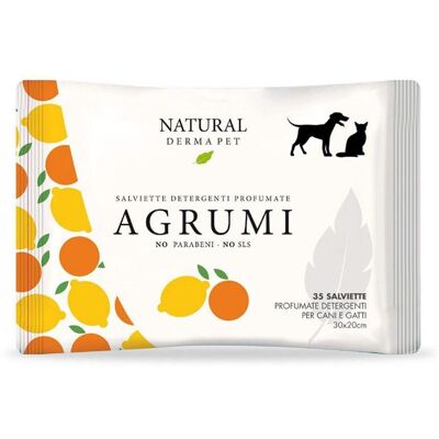 Derbe Natural Derma Pet by Salviette Agrumi per Cani Gatti e Cuccioli 1 Pz 100% Biodegradabili Derbe Natural Derma Pet by Salviette Agrumi per Cani Gatti e Cuccioli 1 Pz 100% Biodegradabili